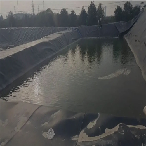 魚(yú)塘土工膜用于水產(chǎn)養(yǎng)殖有哪些優(yōu)勢(shì)可了解 魚(yú)塘土工膜用于水產(chǎn)養(yǎng)殖有哪些優(yōu)勢(shì)可了解
